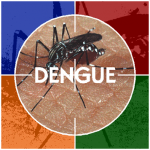 6-Mosquito-da-dengue