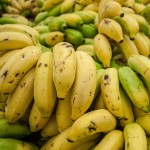 Cavendish_banana_from_Maracaibo