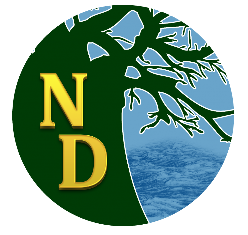 Novo logomarca do Nísia Digital 2015